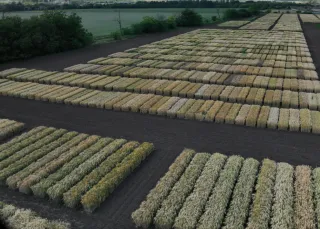  Smart-breeding – Drónok a nemesítésben galéria kép 1 