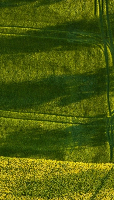 NemesMag - Területi képviselők, viszonteladók