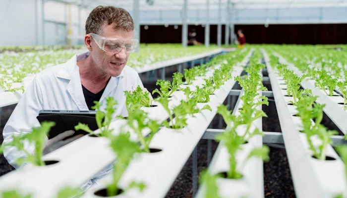 Termesztési javaslat - NemesMag