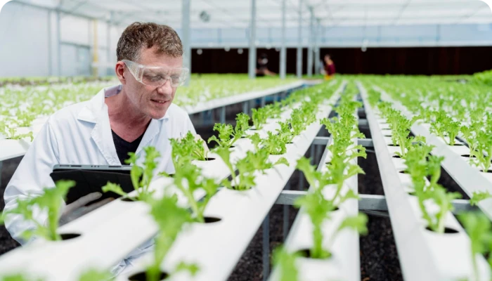 Termesztési javaslat - NemesMag