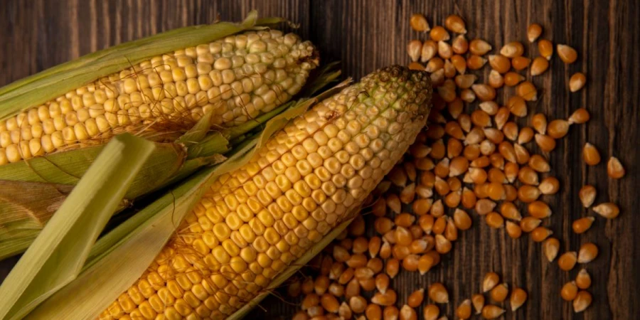 NemesMag - Hibridkukorica