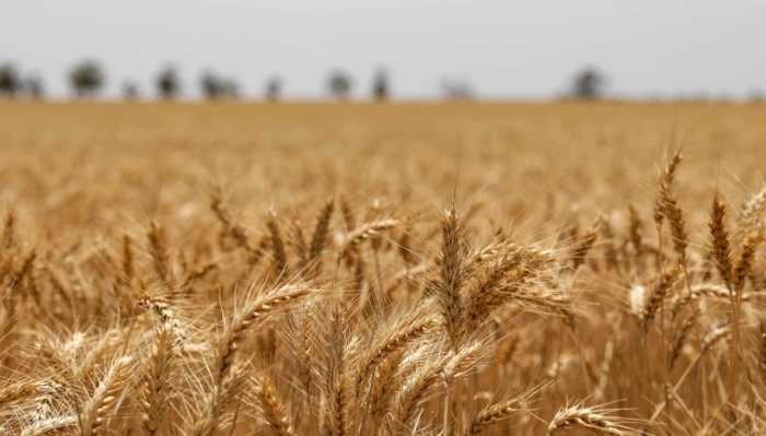 Utókövetés - NemesMag